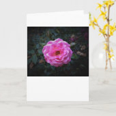 Rose, carte (Fleur jaune)