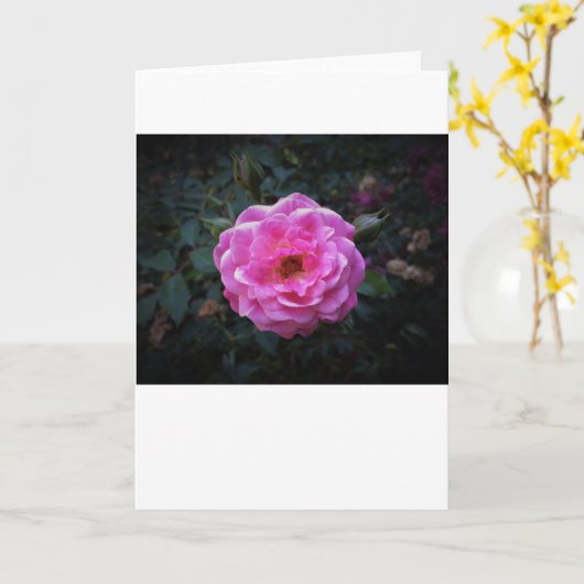 Rose, carte (Fleur jaune)
