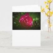 Rose, carte (Fleur jaune)