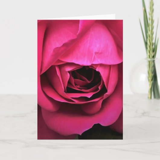 Rose, carte (Devant)