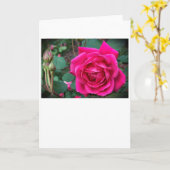 Rose, carte (Fleur jaune)