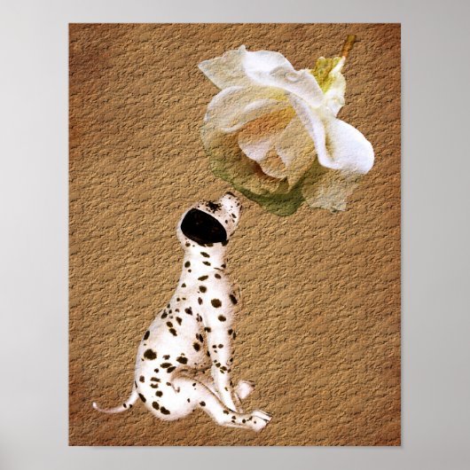 Rose chiot dalmate Poster d'art papier vieilli (Devant)
