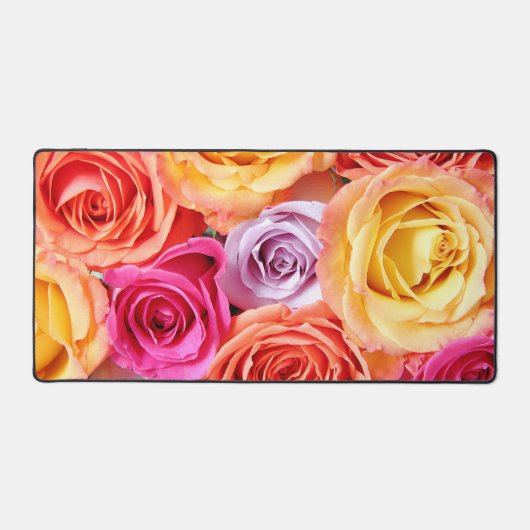 Rose coloré (Recto)