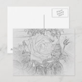 Rose Coloring Sheet Postcard Briefkaart (Voorkant / Achterkant)