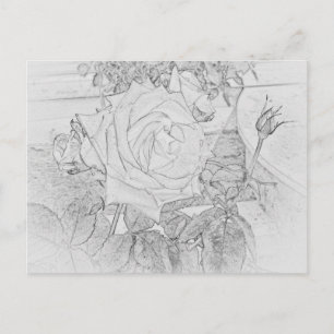 Rose Coloring Sheet Postcard Briefkaart