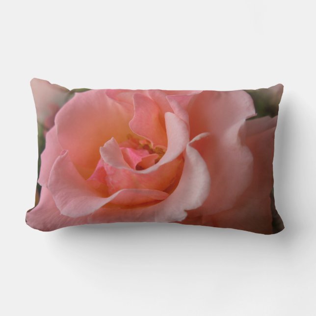 Rose Coussin personnalisé Pêche Wild Rose Coussin (Recto)