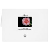 Rose d'amour (Dos Horizontal)