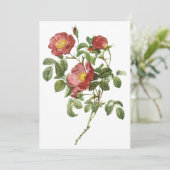 Rose d'amour rouge par Redoute Invitation (Debout devant)