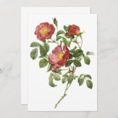 Rose d'amour rouge par Redoute Invitation (Devant / Derrière)
