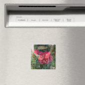 Rose dans le Magnet de fleurs (In Situ (Lave-vaisselle))