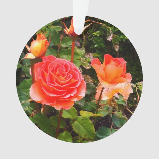 Rose de bande de laiton #1 Ornement (devant)