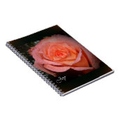 Rose de carnet de joie (Côté Droit)