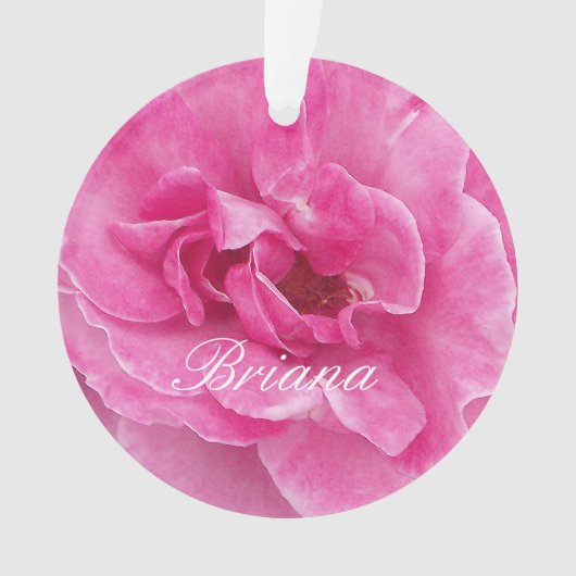 Rose de jardin rose (devant)