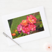 Rose de manteau Joseph n° 1-2 Stickers (Enveloppe)