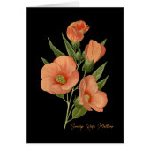 Rose de marais noir (Devant)