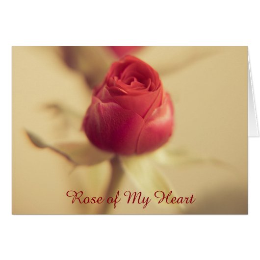 Rose de mon cœur (Devant Horizontal)