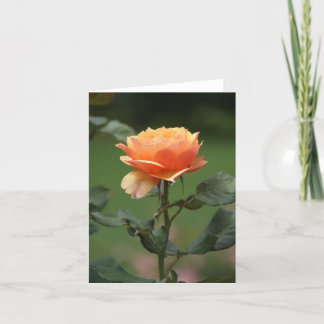rose de pêche inspiré carte pour notes