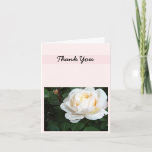 Rose de perle Merci