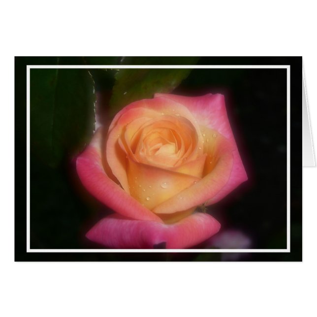 Rose de rose (Devant horizontal)