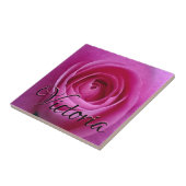 Rose de rose en fleur avec votre carreau de (Côté)