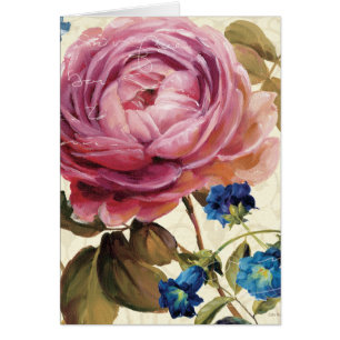 Rose de rose en pleine floraison
