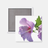 Rose de Sharon Magnet (Recto/Verso)