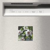 Rose de Sharon Magnet (In Situ (Lave-vaisselle))