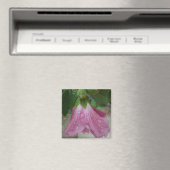 Rose de Sharon Petals avec Aimant Raindrops (In Situ (Lave-vaisselle))