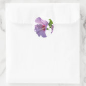 Rose de Sharon Sticker (Sac)