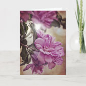 Rose de Sharon Sun Scripture Numéro de carte 6:25 (Devant)