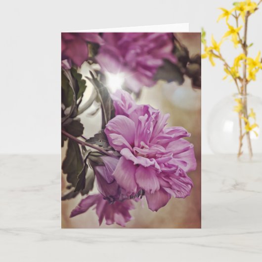 Rose de Sharon Sun Scripture Numéro de carte 6:25 (Fleur jaune)