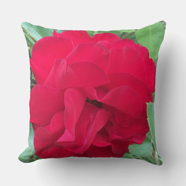 Rose délicate en photo kussen (Voorkant)