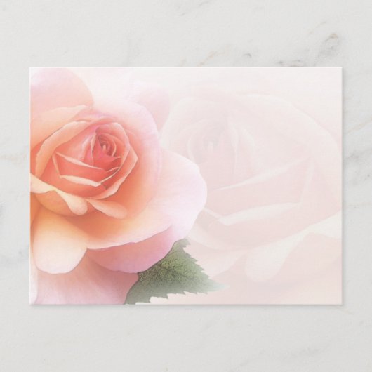 Rose Delicate Toutes les occasions Carte postale (Devant)