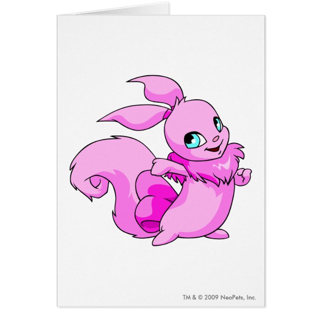 Rose d'Usul (Devant)