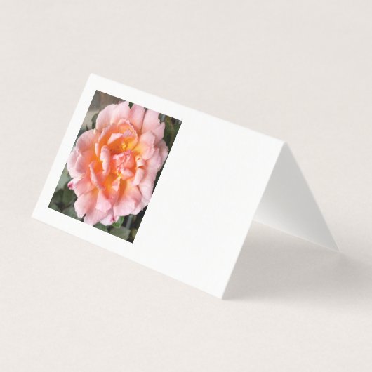 rose en automne (Front)