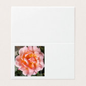 rose en automne (Outside Unfolded)