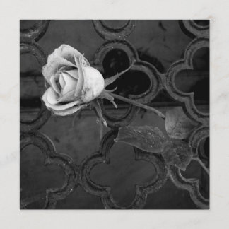 Rose en noir et blanc carte de soutien