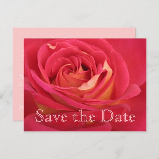 Rose Enregistrer la date Carte de 90e anniversaire (Devant / Derrière)