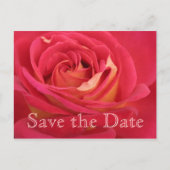 Rose Enregistrer la date Carte de 90e anniversaire (Devant)