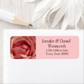 Rose Étiquette de adresse Fleur (En situation)
