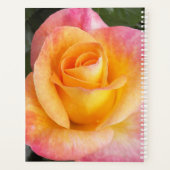 Rose florale élégante rose et jaune (Dos)