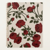 Rose Florentina (Devant)