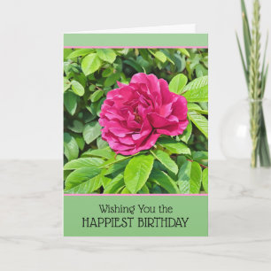 Rose florissant - Carte d'anniversaire