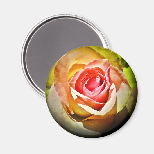 Rose - Für Dich Magneet (Voorkant / Achterkant)