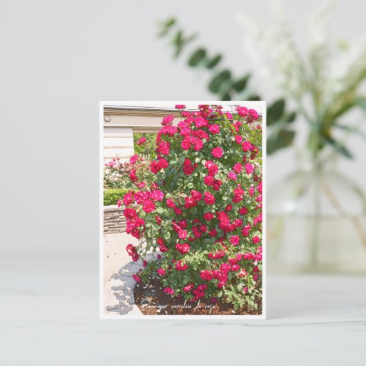 Rose Garden Briefkaart (Staand voorkant)