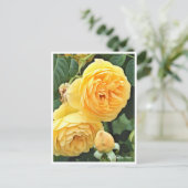 Rose Garden Briefkaart (Staand voorkant)