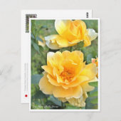 Rose Garden Briefkaart (Voorkant / Achterkant)