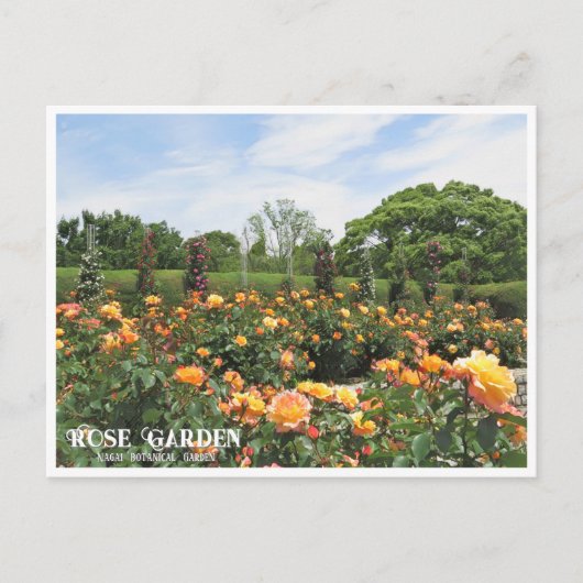 Rose Garden (Nagai Botanical Garden) ポストカード Briefkaart (Voorkant)