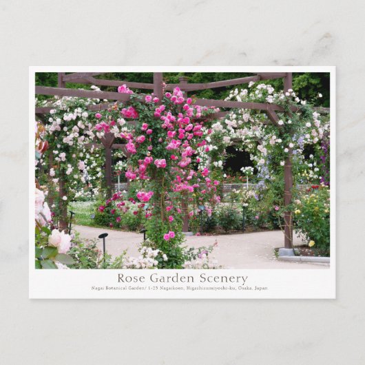 Rose Garden Scenery Briefkaart (Voorkant)