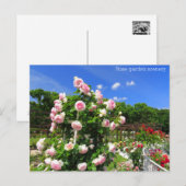 Rose garden scenery：Postcard Briefkaart (Voorkant / Achterkant)